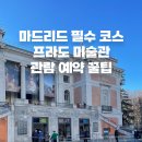 [개포3]스페인역사&프라도미술관투어 | 마드리드 프라도미술관 입장권 예약 꿀팁｜무료 입장부터 한국어 투어까지!