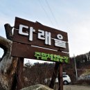 다래울