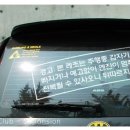 오늘의 강아지 이미지