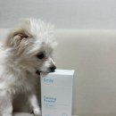 아밀리의 카밍파우더 후기 :D