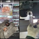 봉선 모터스 이미지