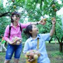 직지농장 이미지