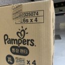 팸퍼스 베이비드라이 품절로 인한 통잠팬티 구매후기