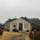 제주 아줄레주 블루리본 에그타르트 솔직후기