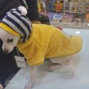 폴리파크지산점 이미지