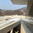 [충북제천] 콘크리트월 카페 내돈내산 후기