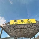 그 사람의 별장 | 강원도 고성 김일성 별장 풍경은 좋지만, 굳이. 찐 솔직후기