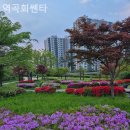 역곡회쎈타
