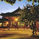 햇빛행정사 이미지