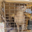 중리서로 이미지