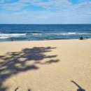 GS25 경포윌점 이미지