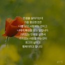 배호노래 당신, 안녕, 이미지