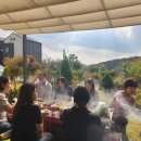 파티마당 이미지