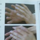 비손라이프
