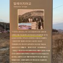 말레이시아교 이미지