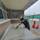 버들중학교 이미지