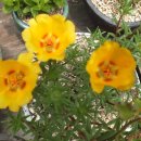 룸비니유치원 이미지