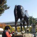 말표산업(주) 이미지