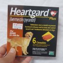 백두산약국 이미지