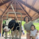 프로페셔널투어(주) 이미지