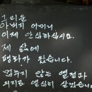 바다가 그리운 나무 이미지