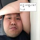 땡벌