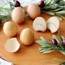 제암농장 이미지