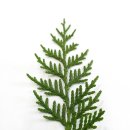 프라자약국 이미지