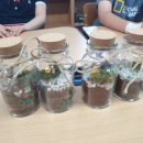 대전관평초등학교 이미지