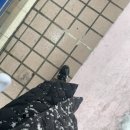 사가정로51길 (10) 네이버블로그