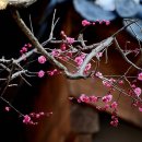 행복의아침 이미지