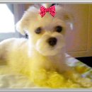 해림사우나 이미지