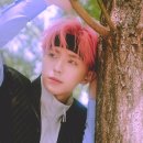 씨아이엑스 카카오 검색결과