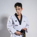 태권한류 이미지
