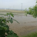 복동농장 이미지