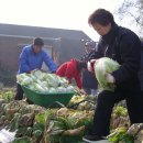 가산3리 이미지