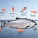 오메가플러스 이미지