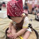 홈플러스 삼척점 | 삼척홈플러스 문화센터 까르까르 후기 내돈내산