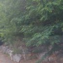 추부면 마전교차로 네이버블로그