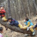 부산대연유치원 이미지
