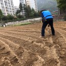 읍내9리 마을회관 이미지