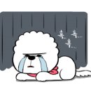 도그밀리 이미지