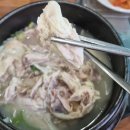 장수삼계탕 | 백석읍 양주삼계탕 맛집 [장수삼계탕백숙] 후기