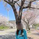 봄 여행 어디 가? 저는 여수 다녀왔습니다