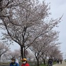 황구지길 Daum카페