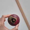 규피부과의원 이미지