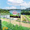 김충석 수산 이미지