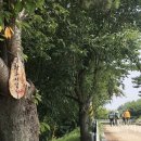 황구지길 이미지