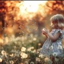 나비천사 이미지