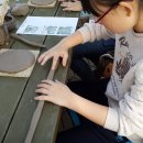 도안초등학교 이미지